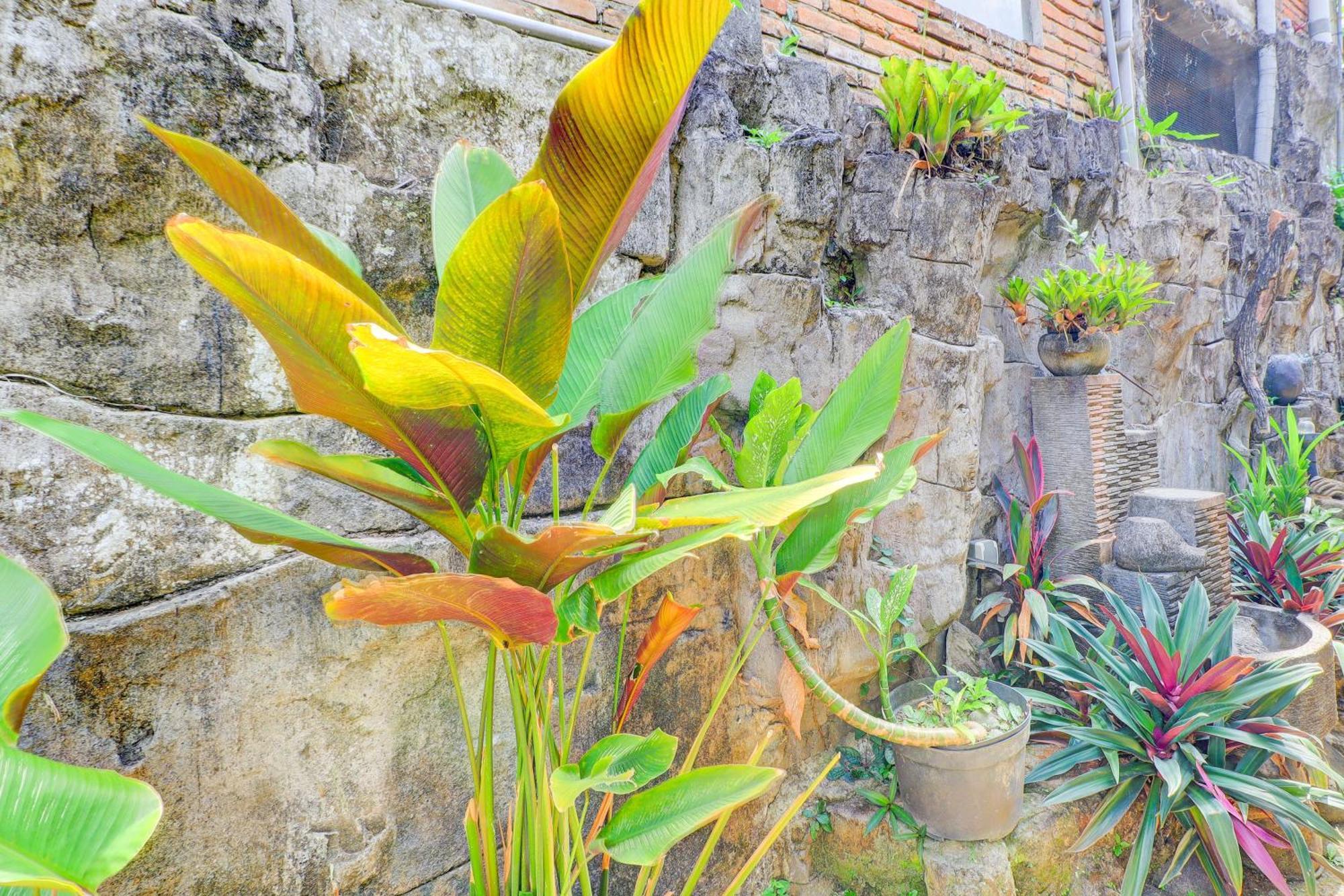 Hotel O Ubud Asri Homestay Near Monkey Forest Екстериор снимка